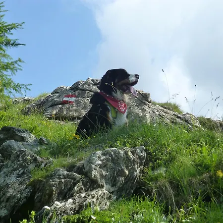 B&b,bergheimat Oase B&B Irschen