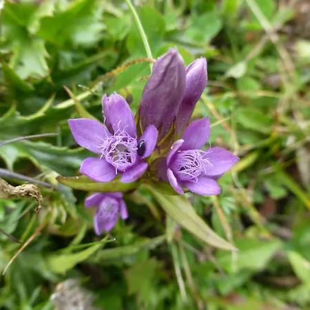 B&b,bergheimat Oase Irschen