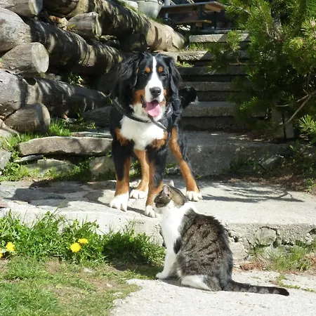 B&b,bergheimat Oase ベッド・アンド・ブレックファスト