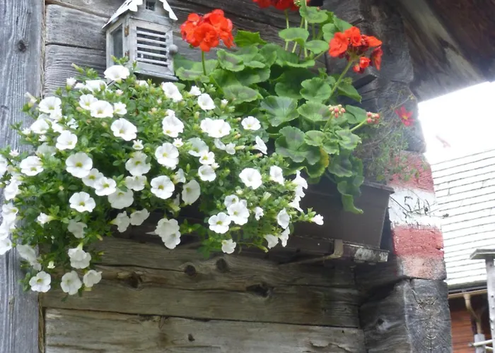 B&b,bergheimat Oase Frühstückspension *