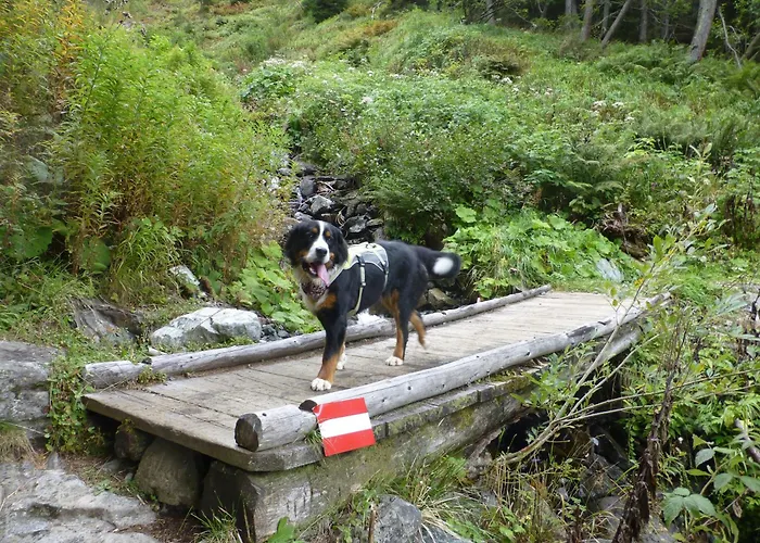 B&b,bergheimat Oase * Irschen