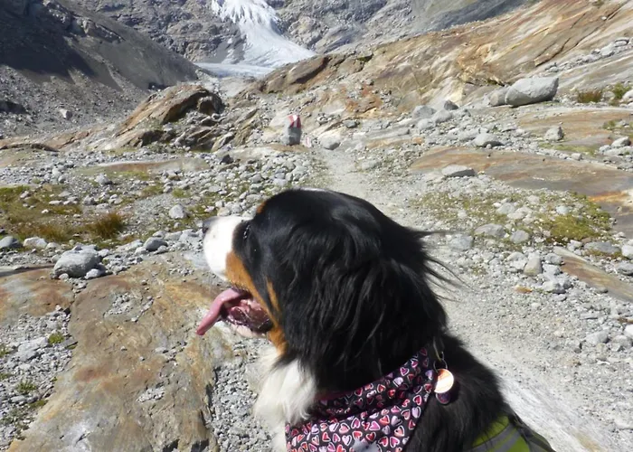 B&b,bergheimat Oase Frühstückspension *