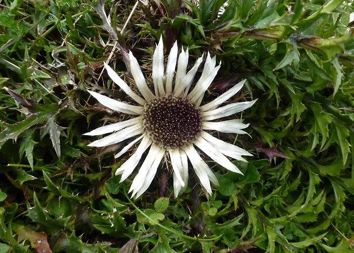 B&b,bergheimat Oase Frühstückspension Irschen