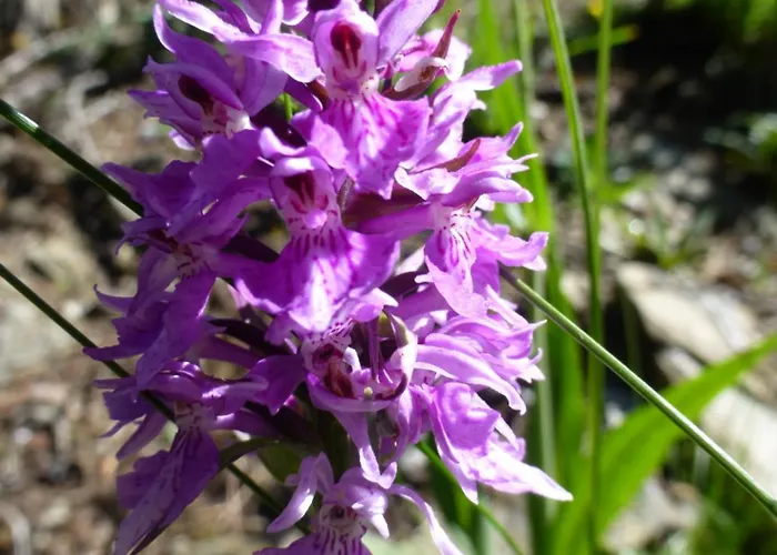 B&b,bergheimat Oase * Irschen