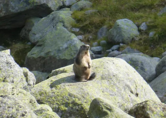 B&b,bergheimat Oase *