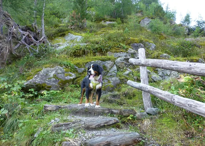 B&b,bergheimat Oase Frühstückspension *