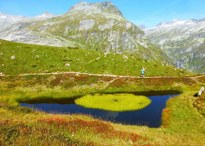 Frühstückspension B&b,bergheimat Oase