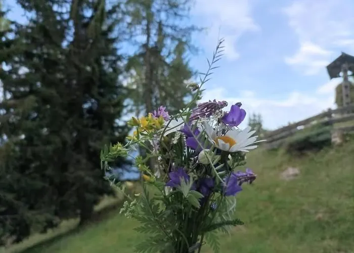 B&b,bergheimat Oase * Irschen