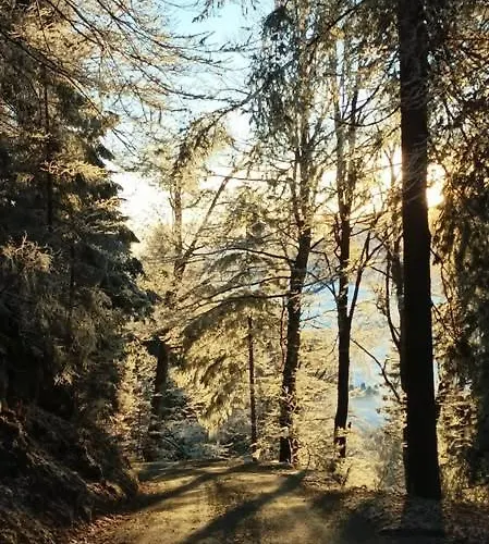 B&b,bergheimat Oase Irschen