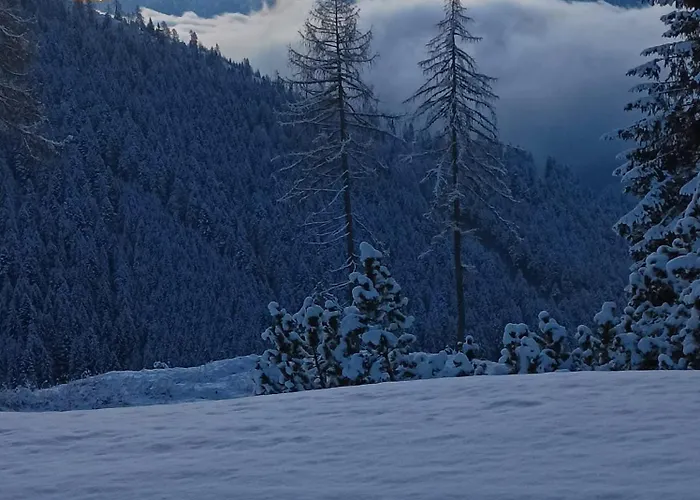 Nocleg ze śniadaniem B&b,bergheimat Oase *