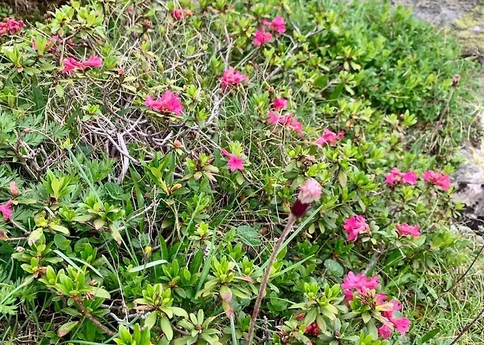 B&b,bergheimat Oase * Irschen