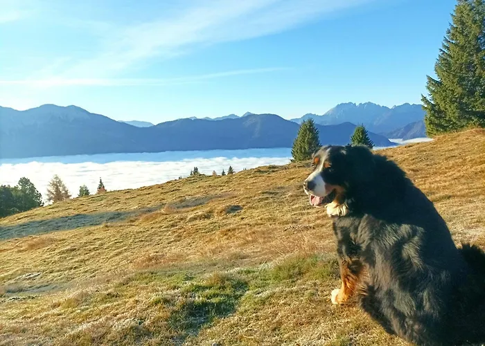 B&b,bergheimat Oase Frühstückspension *