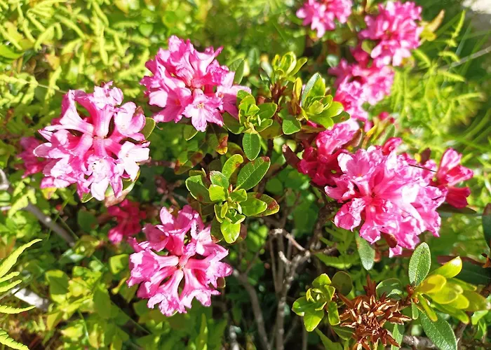 B&b,bergheimat Oase Nocleg ze śniadaniem Irschen