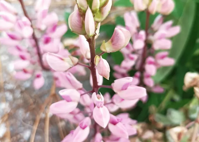 B&b,bergheimat Oase Frühstückspension