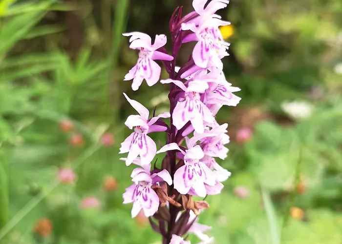 B&b,bergheimat Oase *