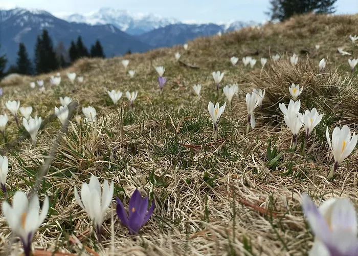 B&b,bergheimat Oase Irschen