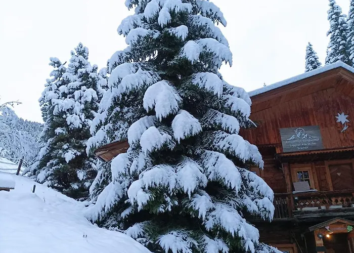 B&b,bergheimat Oase Frühstückspension