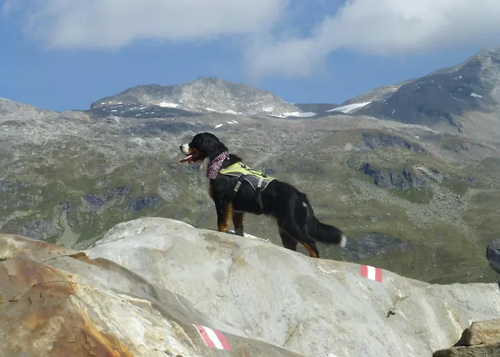 Nocleg ze śniadaniem B&b,bergheimat Oase Irschen
