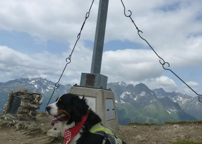 B&b,bergheimat Oase Irschen