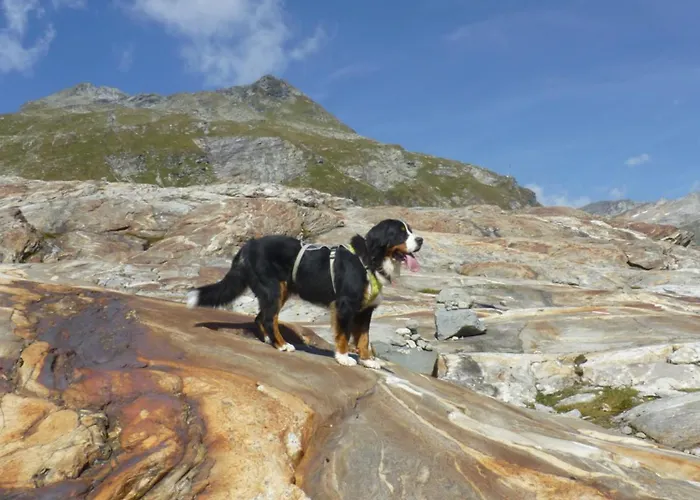 B&b,bergheimat Oase Nocleg ze śniadaniem *