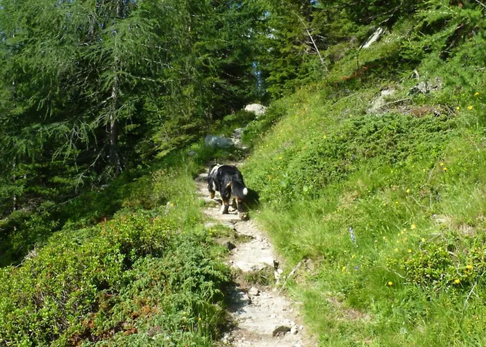 B&b,bergheimat Oase *