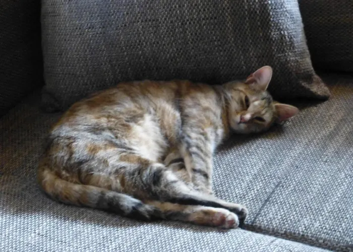 B&b,bergheimat Oase Irschen