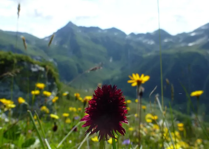 Frühstückspension B&b,bergheimat Oase Irschen