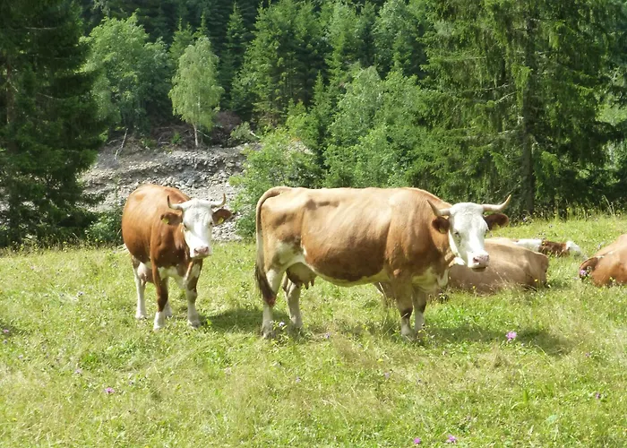 B&b,bergheimat Oase Nocleg ze śniadaniem