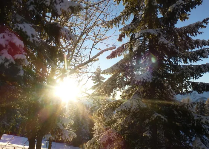 B&b,bergheimat Oase Frühstückspension Irschen