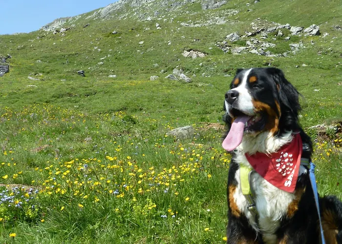 Frühstückspension B&b,bergheimat Oase Irschen