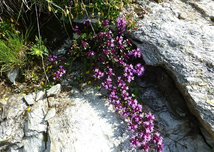 B&b,bergheimat Oase *