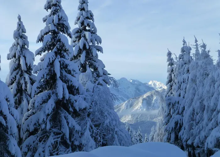 Nocleg ze śniadaniem B&b,bergheimat Oase *