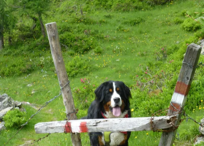 B&b,bergheimat Oase *