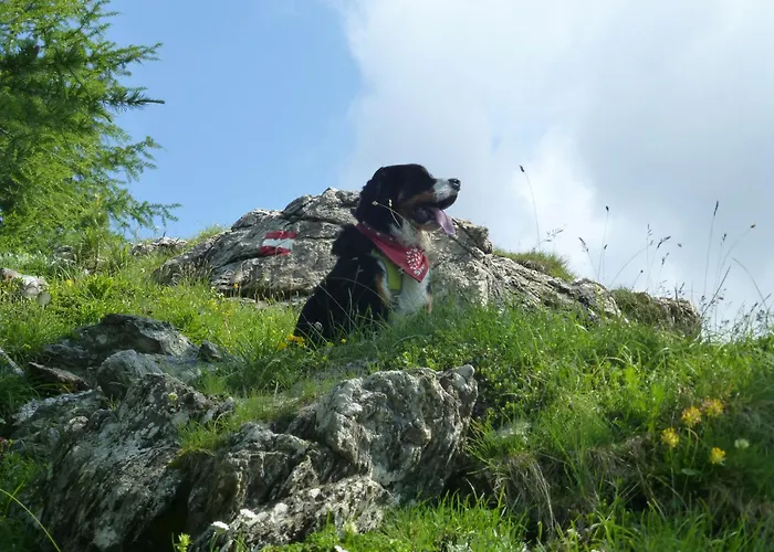 B&b,bergheimat Oase Frühstückspension Irschen