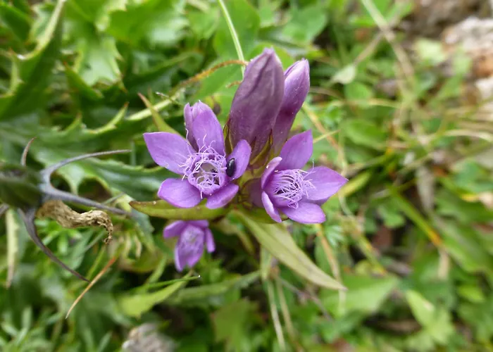 B&b,bergheimat Oase Irschen